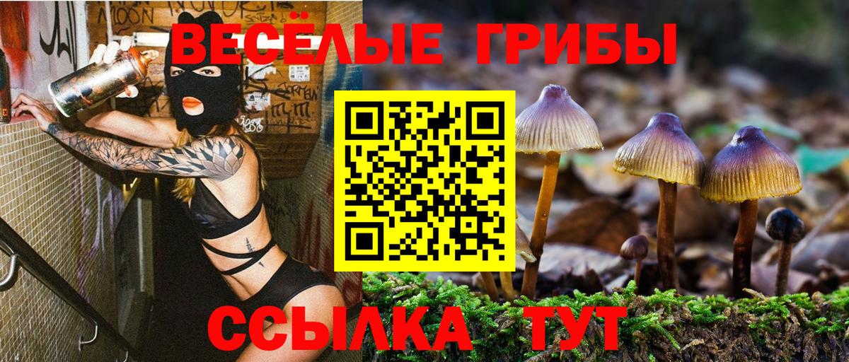 Грозный  Псилоцибиновые грибы мицелий  Вход с VPN 